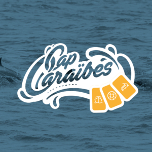 Bon cadeau : Rencontre avec les dauphins